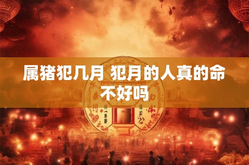 属猪犯几月 犯月的人真的命不好吗