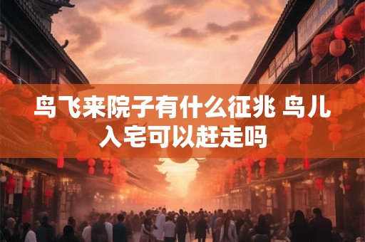 鸟飞来院子有什么征兆 鸟儿入宅可以赶走吗