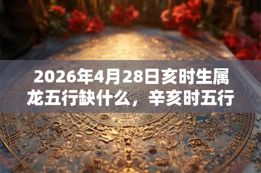 2026年4月28日亥时生属龙五行缺什么,辛亥时五行缺什么 2026年4月28日亥时生属龙五行缺什么,辛亥时五行缺什么