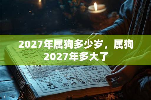 2027年属狗多少岁,属狗2027年多大了 2027年属狗多少岁,属狗2027年多大了