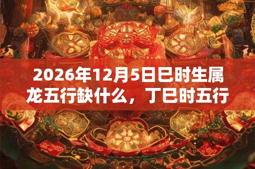 2026年12月5日巳时生属龙五行缺什么，丁巳时五行缺什么