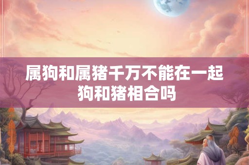 属狗和属猪千万不能在一起 狗和猪相合吗 属狗和属猪千万不能在一起 狗和猪相合吗