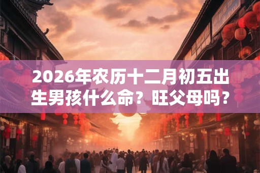 2026年农历十二月初五出生男孩什么命？旺父母吗？