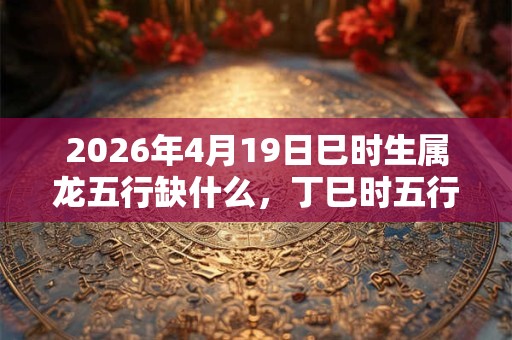 2026年4月19日巳时生属龙五行缺什么，丁巳时五行缺什么