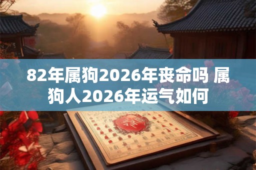 82年属狗2026年丧命吗 属狗人2026年运气如何