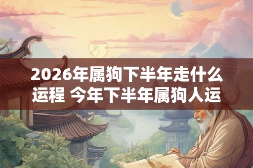 2026年属狗下半年走什么运程 今年下半年属狗人运势如何 2026年属狗下半年走什么运程 今年下半年属狗人运势如何