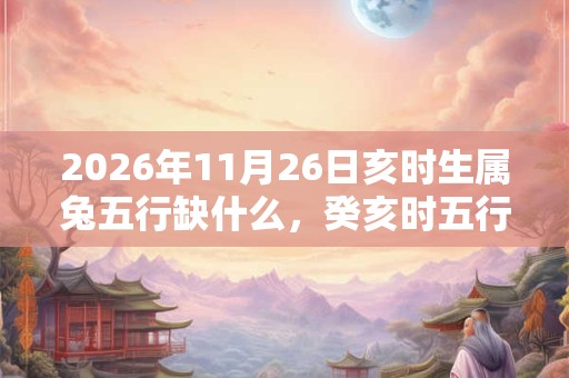 2026年11月26日亥时生属兔五行缺什么，癸亥时五行缺什么