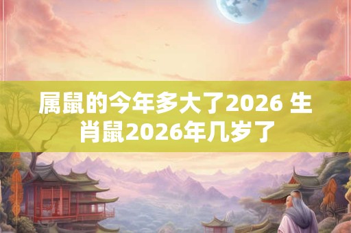 属鼠的今年多大了2026 生肖鼠2026年几岁了 属鼠的今年多大了2026 生肖鼠2026年几岁了