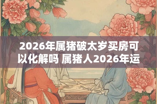 2026年属猪破太岁买房可以化解吗 属猪人2026年运势如何