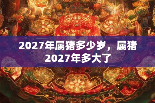 2027年属猪多少岁，属猪2027年多大了