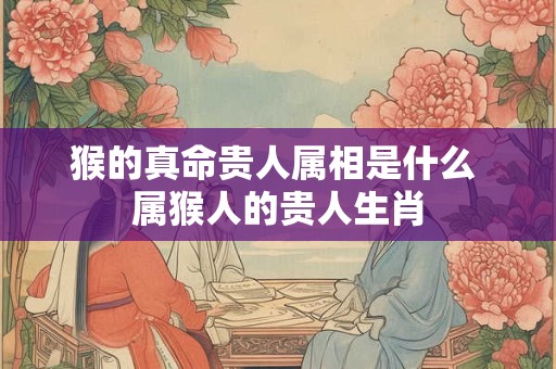 猴的真命贵人属相是什么 属猴人的贵人生肖 猴的真命贵人属相是什么 属猴人的贵人生肖