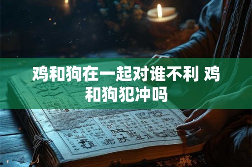 鸡和狗在一起对谁不利 鸡和狗犯冲吗